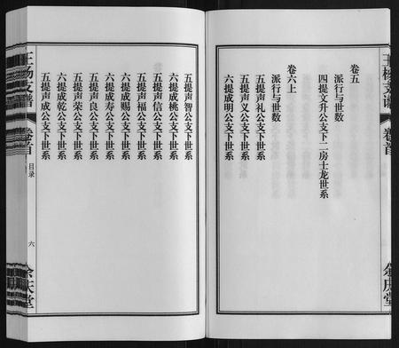 安徽王杨氏族谱-王杨支谱[13卷首末各1卷].pdf电子版插图5