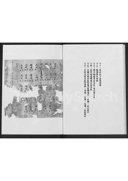 福建陈氏族谱-福建省漳浦县马坪镇后康村山尾社山美堂陈氏家谱 [不分卷].pdf电子版插图5