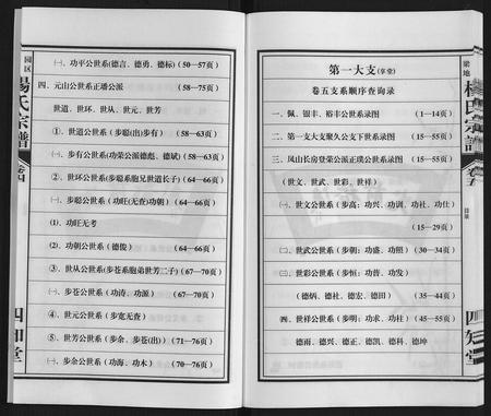 安徽杨氏族谱-梁园地区杨氏宗谱.pdf电子版插图5 安徽杨氏族谱-梁园地区杨氏宗谱.pdf电子版插图5