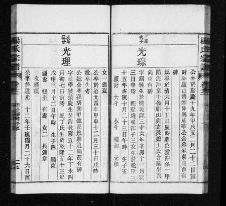 安徽杨氏族谱-杨氏宗谱 [30卷首1卷].pdf电子版插图5