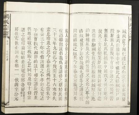 江西杨氏族谱-杨氏宗谱.pdf电子版插图5