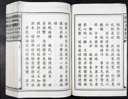 江西杨氏族谱-杨氏重修族谱[不分卷].pdf电子版插图5