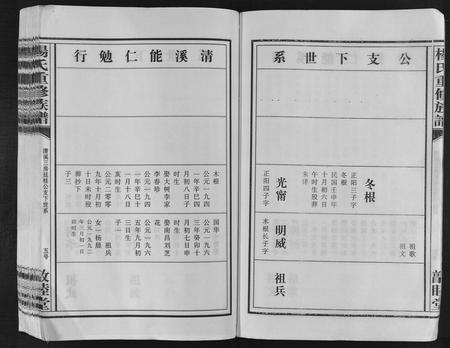 江西杨氏族谱-杨氏重修族谱[不分卷].pdf电子版插图5