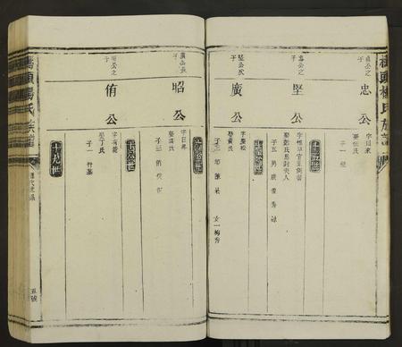 江西杨氏族谱-桥头杨氏族谱 [不分卷].pdf电子版插图5