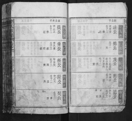 安徽叶氏族谱-叶氏族谱.pdf电子版插图5