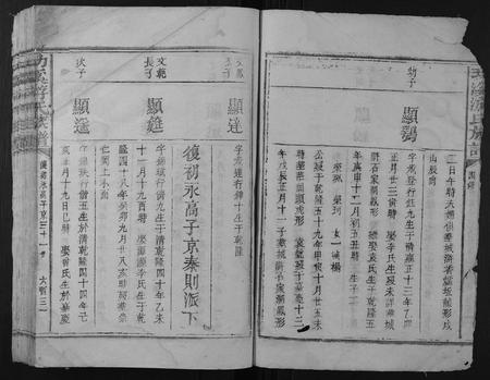江西游氏族谱-功溪游氏族谱.pdf电子版插图5