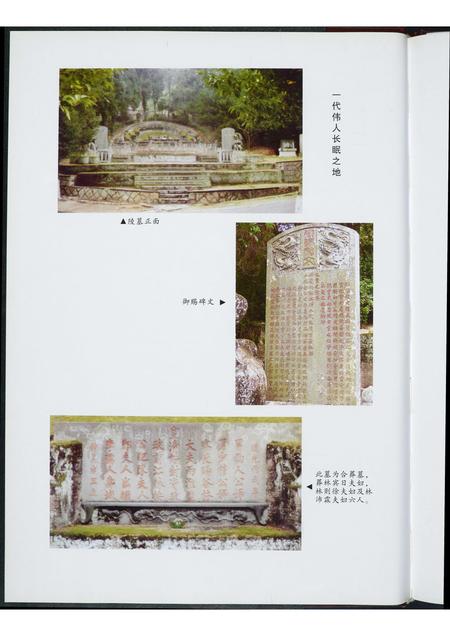 福建林氏族谱-林则徐世系录.pdf电子版插图5