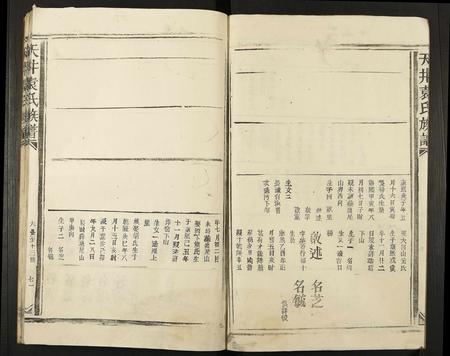 江西袁氏族谱-天井袁氏族谱.pdf电子版插图5