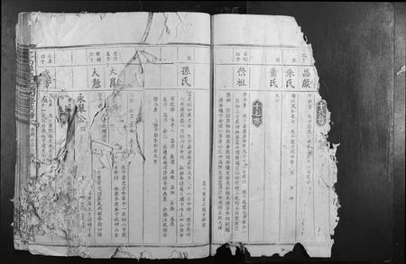 江西袁氏族谱-定南潭庆袁氏四修族谱.pdf电子版插图5