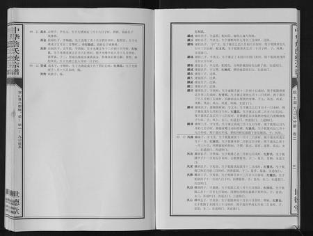 安徽詹氏族谱-中华詹氏统宗谱.pdf电子版插图5