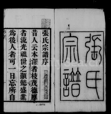 安徽张氏族谱-张氏宗谱 [32卷,首1卷].pdf电子版插图5