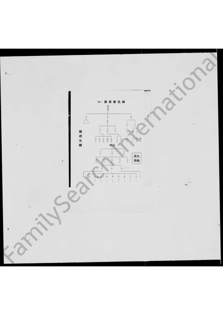 福建林氏族谱-林氏世系表.pdf电子版插图5 福建林氏族谱-林氏世系表.pdf电子版插图5