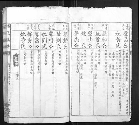 江西张氏族谱-张氏族谱.pdf电子版插图5