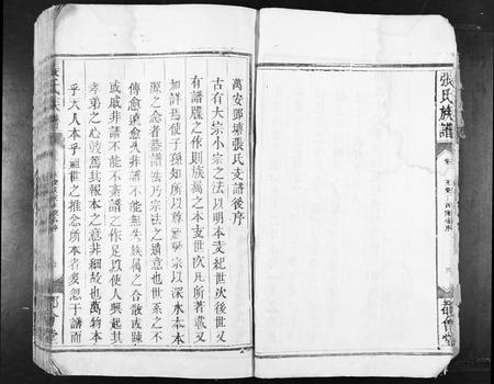 江西张氏族谱-张氏族谱[不分卷].pdf电子版插图5