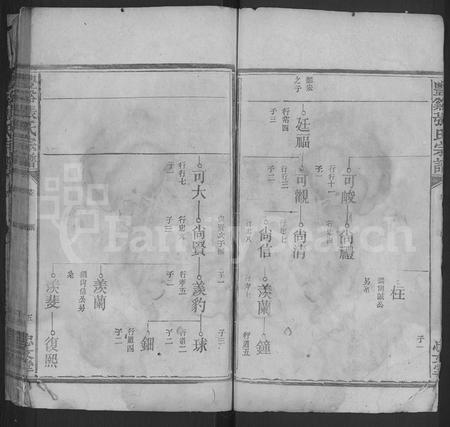 江西张氏族谱-丰谿张氏宗谱 [不分卷].pdf电子版插图5