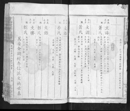 江西邹氏族谱-吉南赣邹氏族谱[不分卷].pdf电子版插图5