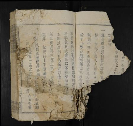江西叶氏族谱-赣南吉叶氏联修族谱 [不分卷].pdf电子版插图5