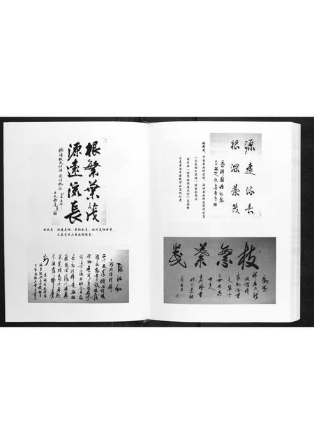 福建林氏族谱-铁场林氏族谱.pdf电子版插图5