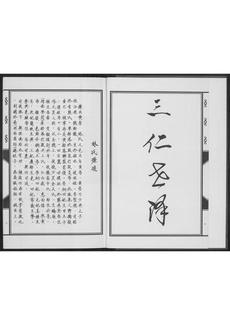 福建林氏族谱-凤池埕头林氏大宗谱.pdf电子版插图5