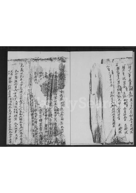 福建林氏族谱-万安林氏族谱.pdf电子版插图5