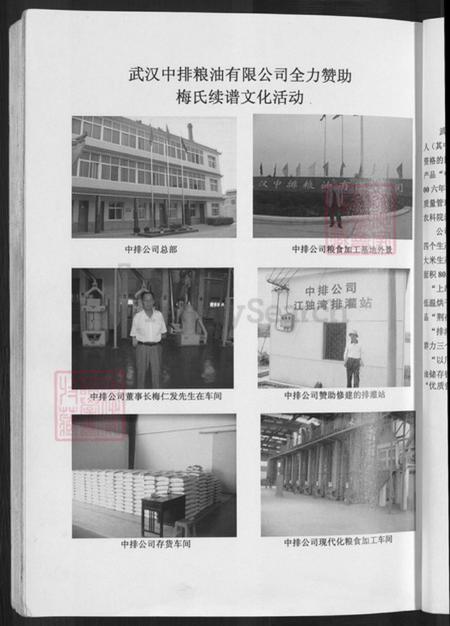 湖北省孝感市孝昌县梅氏汝南堂族谱-梅氏宗谱.武汉黄陂陂南篇.pdf电子版插图5