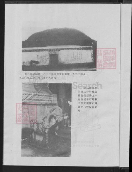 浙江省金华市永康市花街镇王氏族谱-王氏家乘.pdf电子版插图5 浙江省金华市永康市花街镇王氏族谱-王氏家乘.pdf电子版插图5