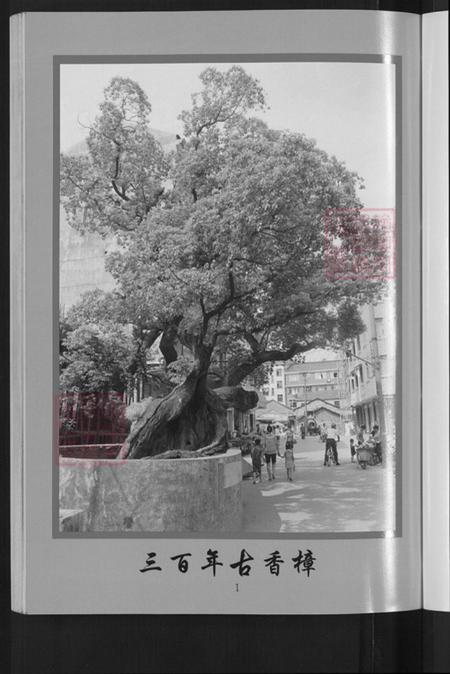 浙江省金华市朱氏族谱-金华沛国朱氏宗谱.pdf电子版插图5