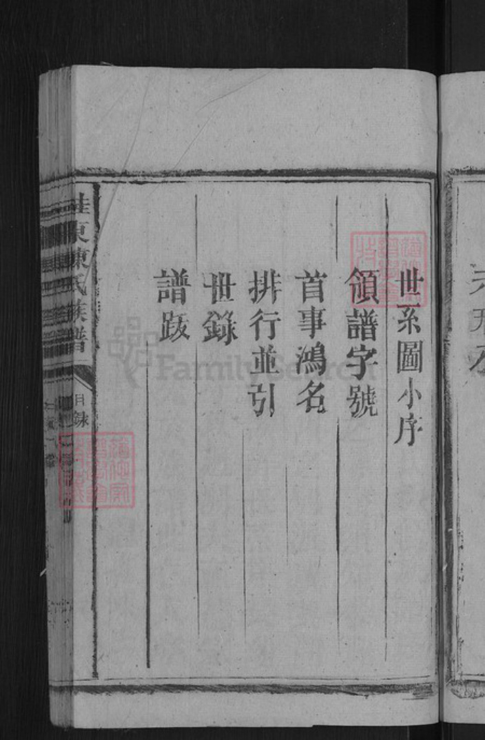 湖南省郴州市桂东县大塘镇陈氏颕川堂族谱-陈氏族谱.pdf电子版插图5