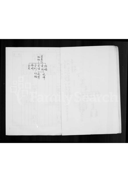 福建林氏族谱-林氏族谱.pdf电子版插图5 福建林氏族谱-林氏族谱.pdf电子版插图5