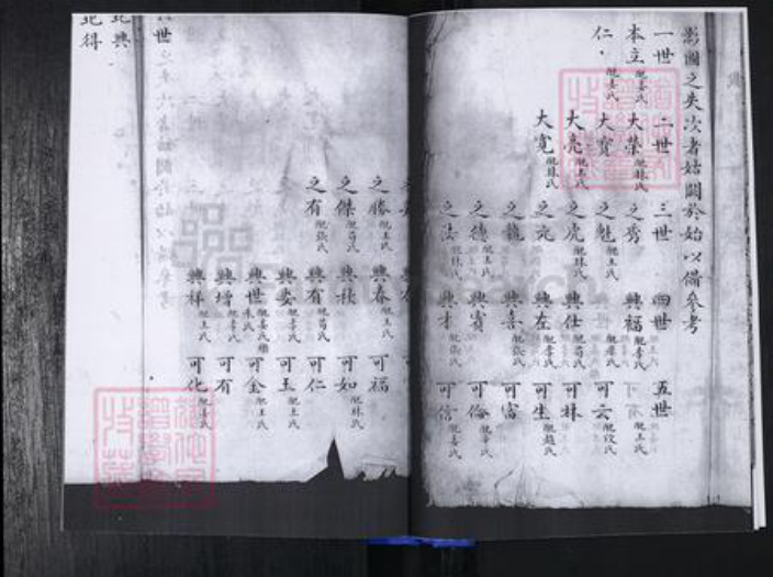 山东省青岛市崂山区唐氏族谱-青山社区唐氏族谱.pdf电子版插图5 山东省青岛市崂山区唐氏族谱-青山社区唐氏族谱.pdf电子版插图5