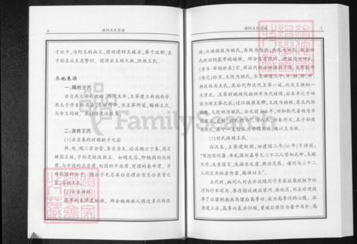 河南省濮阳市华龙区王氏族谱-濮阳王氏宗谱.pdf电子版插图5