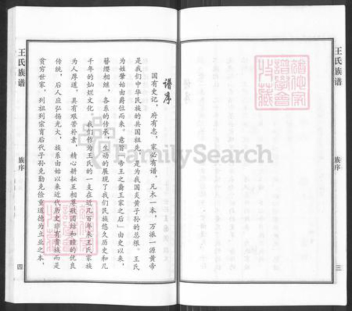 河北省沧州沧州地区南皮王氏族谱-王氏族谱.pdf电子版插图5