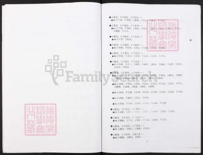 湖南省娄底市双峰县王氏族谱-湖南省双峰县同德王氏湖广填四川名单.pdf电子版插图5