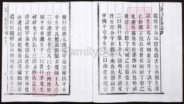 湖南省郴州市宜章县里田镇王氏族谱-湖南宜章县上渡王氏族谱.pdf电子版插图5 湖南省郴州市宜章县里田镇王氏族谱-湖南宜章县上渡王氏族谱.pdf电子版插图5