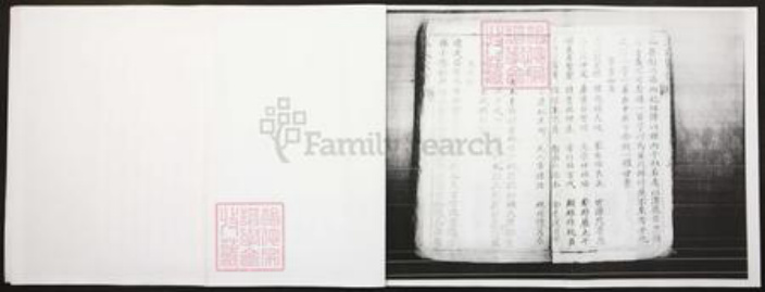 四川省泸州市江阳区王氏族谱-王氏家谱.pdf电子版插图5