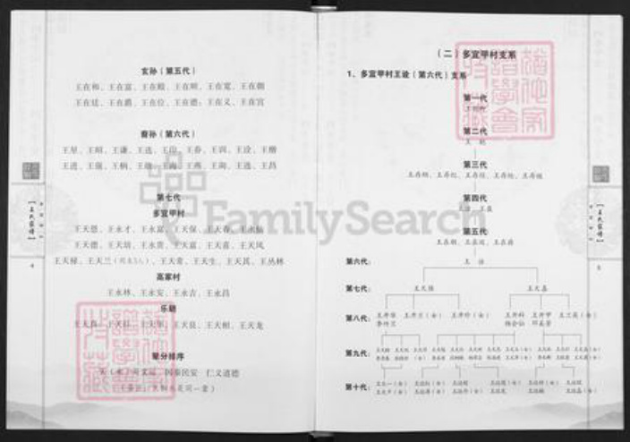 云南省昆明市富民县王氏族谱-王氏族谱.pdf电子版插图5