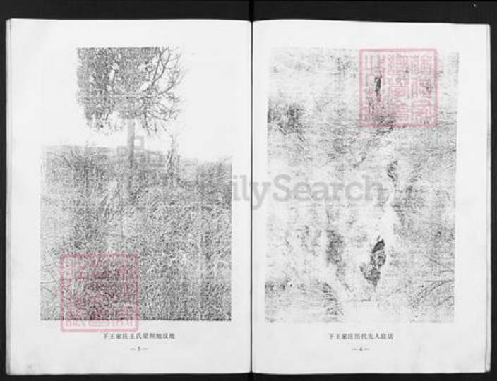 山西省晋中市灵石县翠峰镇王氏族谱-下王家庄王氏族谱.pdf电子版插图5 山西省晋中市灵石县翠峰镇王氏族谱-下王家庄王氏族谱.pdf电子版插图5