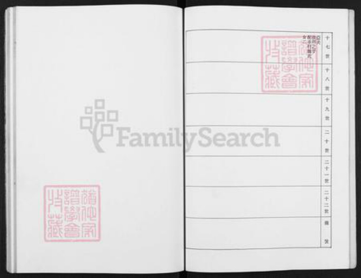 河北省沧州泊头市齐桥镇王氏族谱-王氏宗谱.pdf电子版插图5