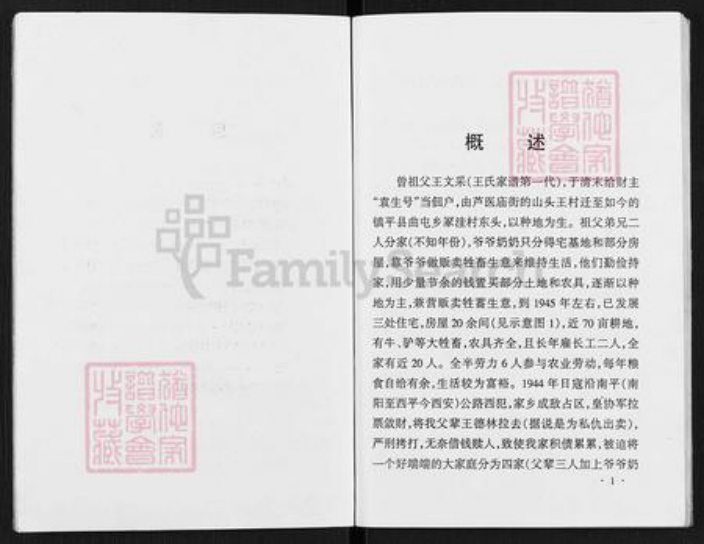 河南省南阳市镇平县曲屯镇王氏族谱-王氏家谱.pdf电子版插图5