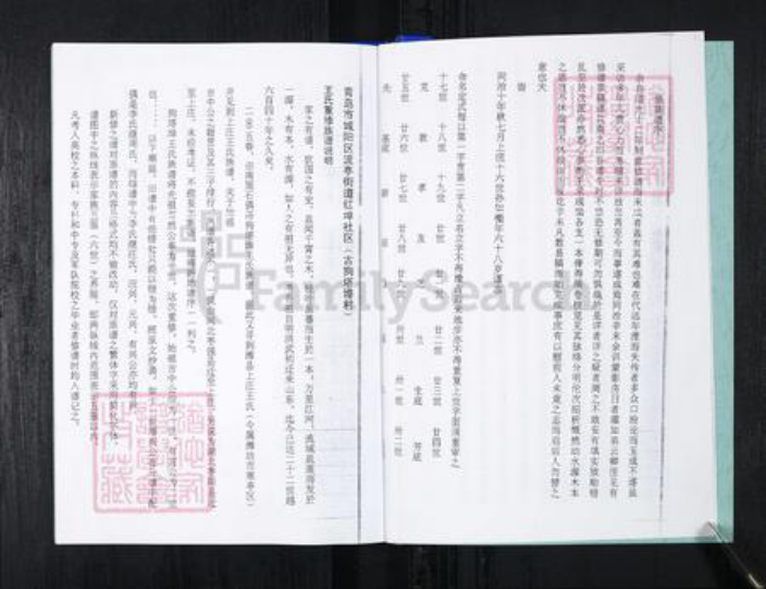 山东省青岛市王氏族谱-流亭红端口村王氏族谱.pdf电子版插图5