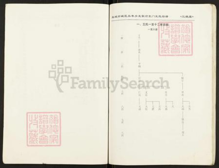 江苏省盐城市亭湖区新兴镇王氏三槐堂族谱-王氏宗谱.pdf电子版插图5