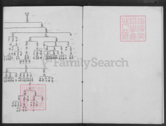 福建省泉州市金门县金沙陈氏族谱-金门陈氏家谱.斗门学考甲祖后房家谱.pdf电子版插图5