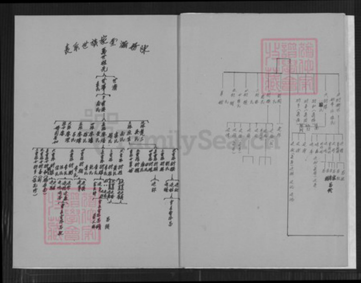 安徽省芜湖市陈氏务滋堂族谱-陈务滋堂家谱世系表.pdf电子版插图5