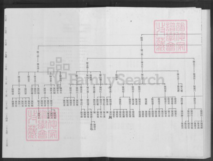 台湾台北市文山区陈氏族谱-陈志抱派下谱系世系表.pdf电子版插图5