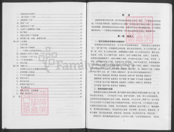 河南省开封市祥符区杜良乡高氏族谱-峦庄高氏家谱.pdf电子版插图5