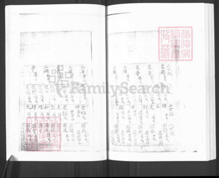 山东省烟台市栖霞市王氏族谱-栖霞王氏族谱.pdf电子版预览图5