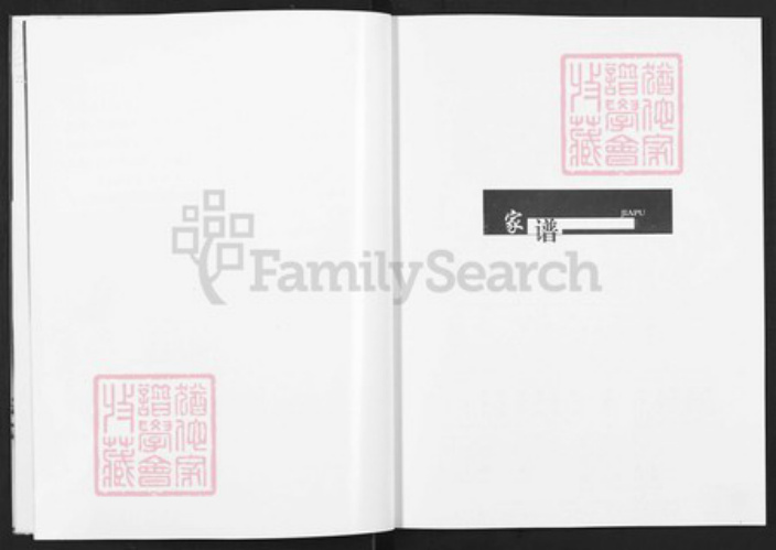 山西省临汾市蒲县蒲城镇山西省临汾市蒲县蒲城杨；杨氏族谱-蒲县荆坡村杨氏宗族家谱.pdf电子版插图5