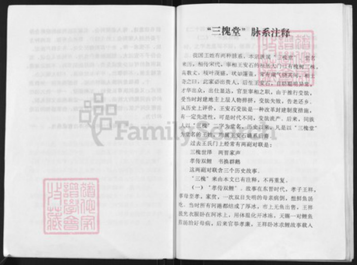 江苏省扬州市高邮市三垛镇王氏三槐堂族谱-王氏家谱.pdf电子版插图5