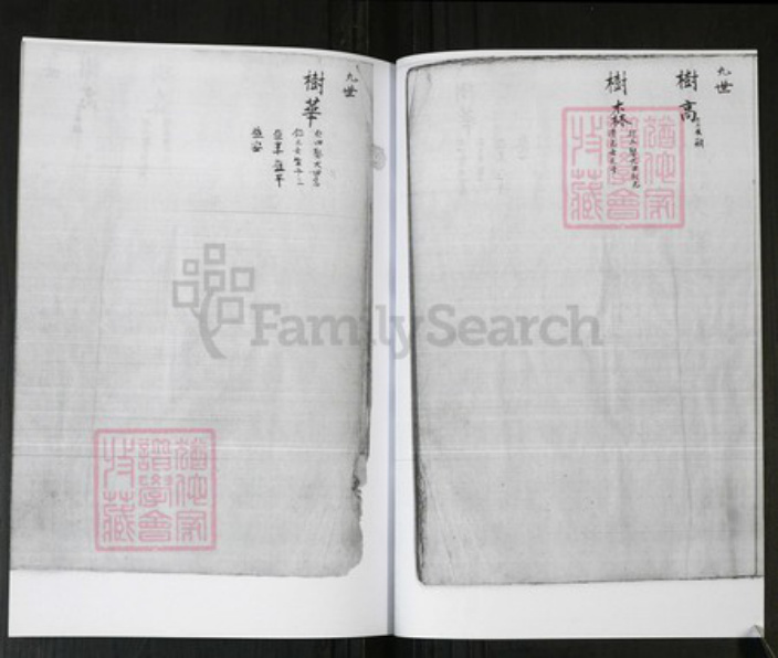 山东省青岛市即墨区管氏族谱-管氏祖谱 [不分卷].pdf电子版插图5