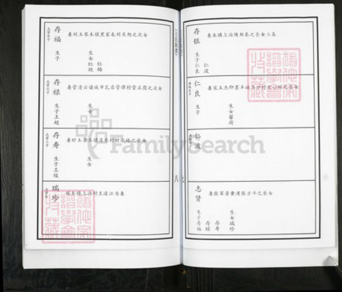 山东省青岛市即墨区王氏族谱-移风店镇堤前村王氏族谱.pdf电子版插图5